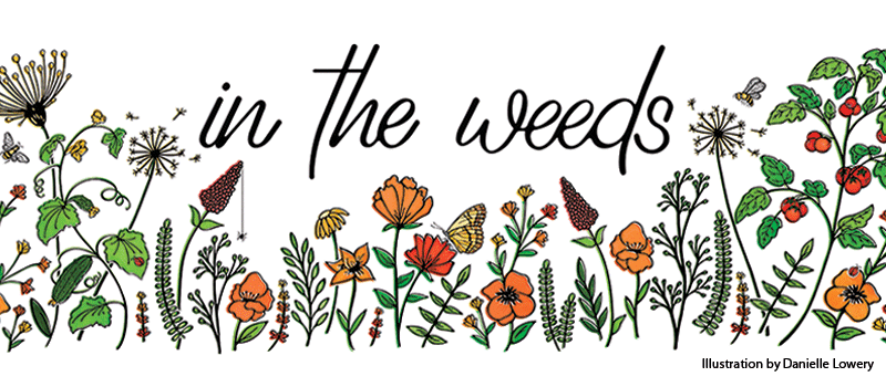 In the Weeds logo