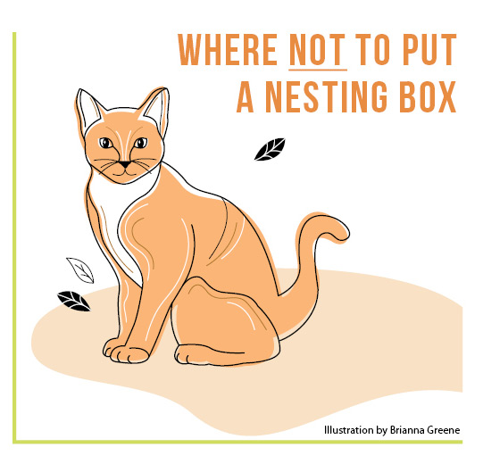 nesting boxes placement illustration by Brianna Greene