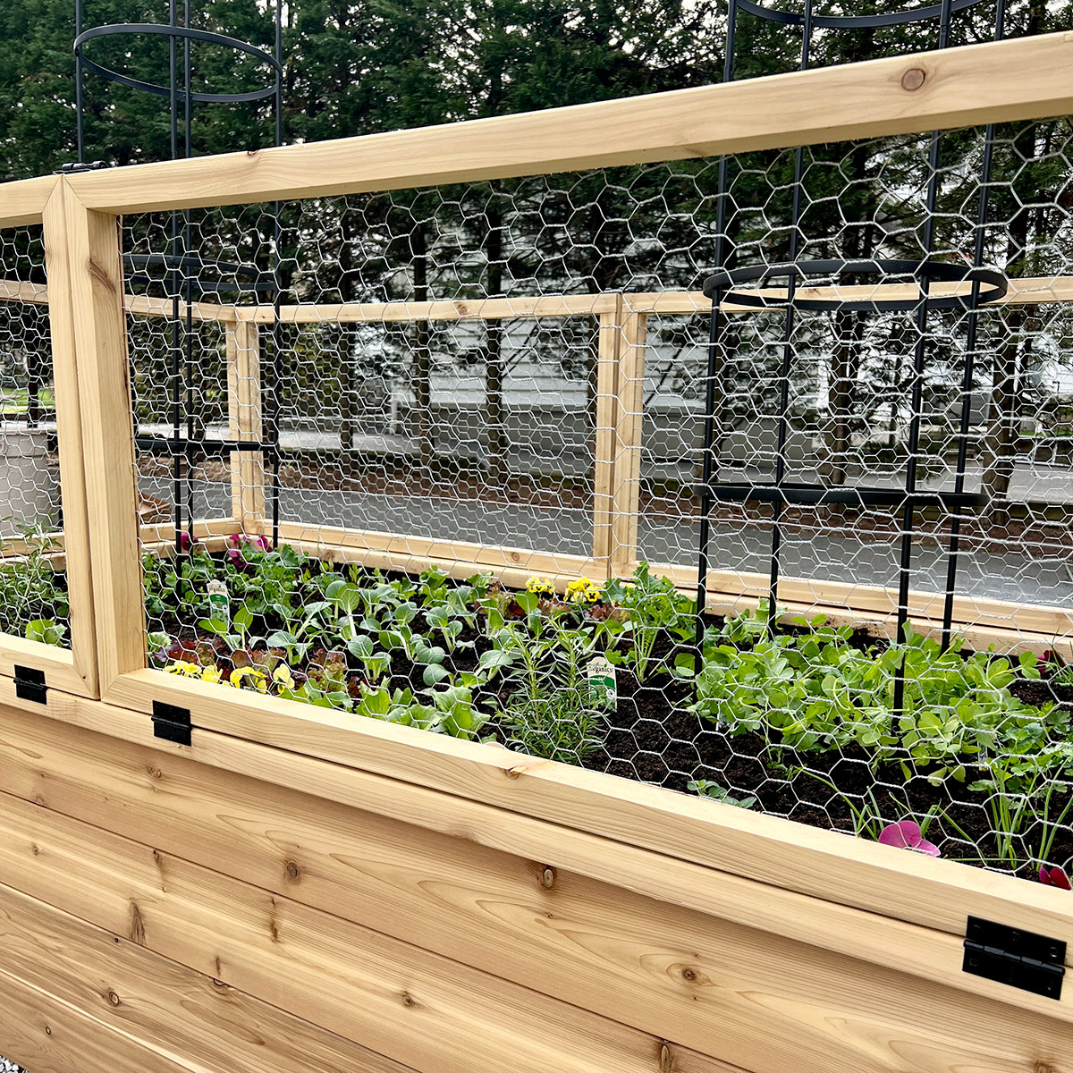 resh-gala-pest-protection-raised-garden-bed