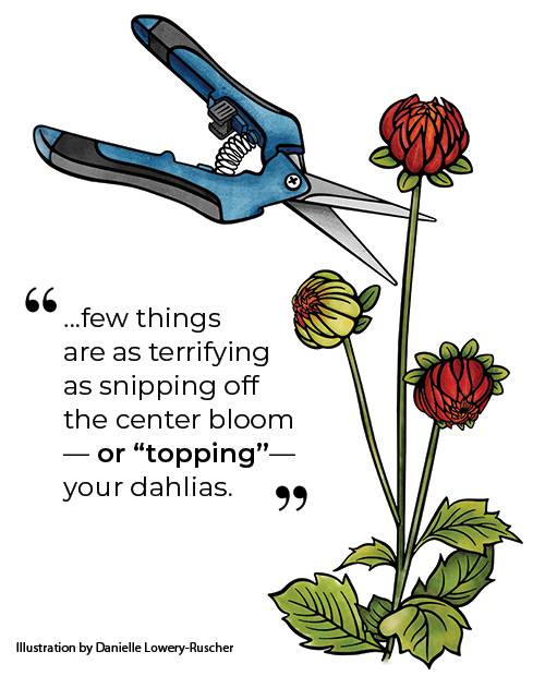 In the Weeds Dahlia topping illustration by Danielle Lowery-Ruscher