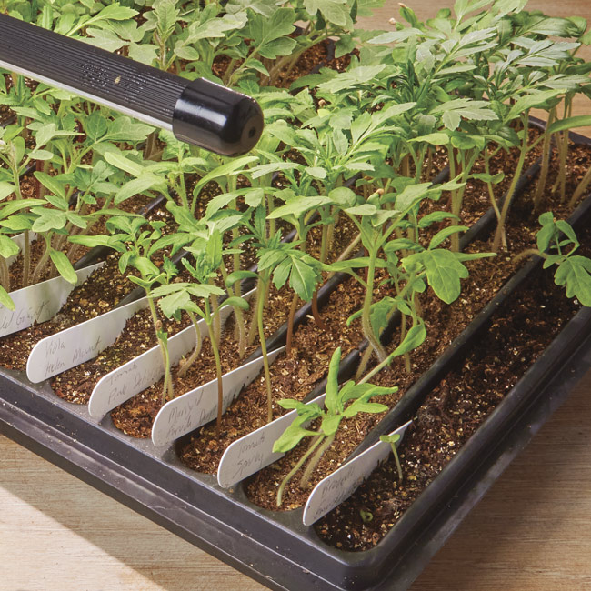 20 row seed flat: This 20-row seed flat is perfect for starting a lot of seeds indoors without taking up a lot of space.