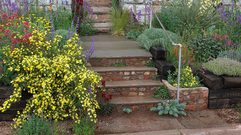 Outdoor Rooms - Steps  Garden stairs, Outdoor stairs, Sloped garden