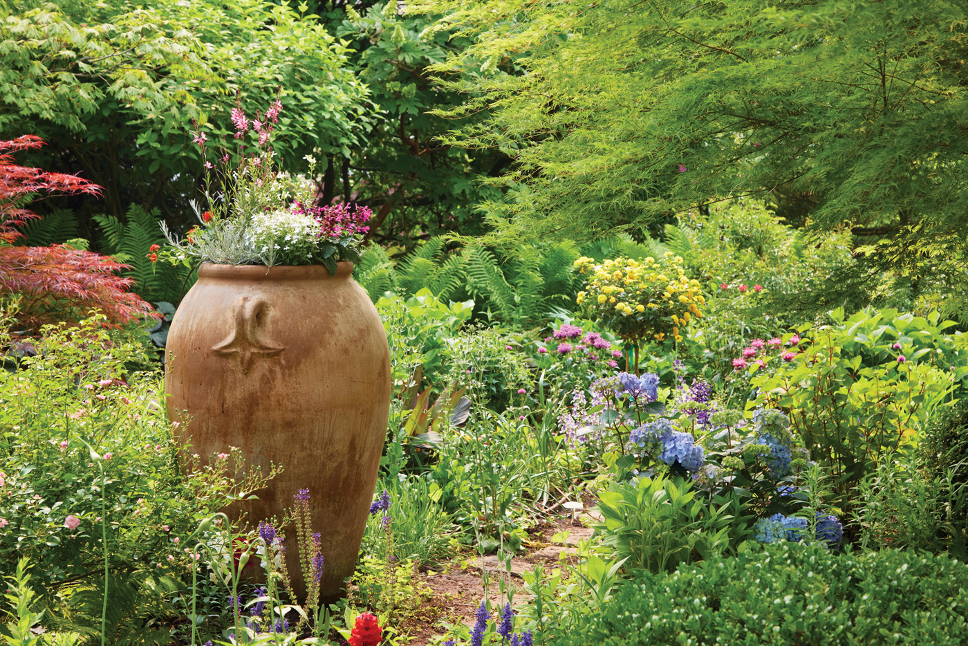 GG187 BA 04 gamf0330: Maintenance paths wind their way through each of the terraced beds make the garden easier to care for, 