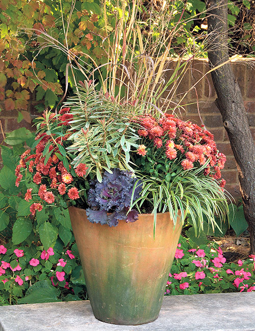 Fall-container-with-ornamental-grasses-circle-plan-texture-with-foliage