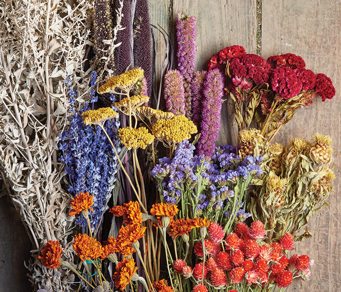 Dried bouquet of roses