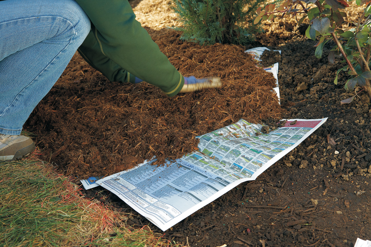 Weed barrier with newspaper in the garden: A few layers of newspaper under 2 to 4 in. of mulch make an effective weed barrier and biodegrade in a growing season.