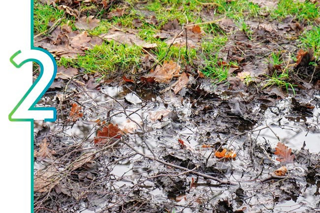 Wet soil conditions, photo stock.adobe.com, Robert: Soggy soil with standing water needs to dry before planting in spring.
