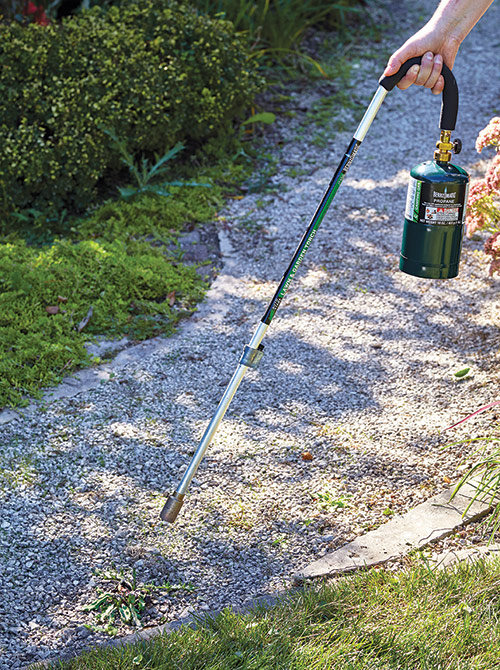Torch weeder tool to kill weeds: Always use precaution when burning weeds in your garden!