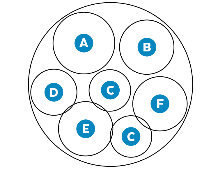 Circle planting plan for Sedum and coleus container