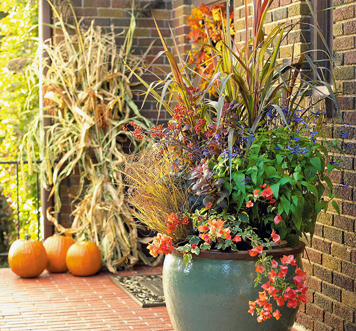 fall-containers-with-ornamental-grasses-autumn-sunset