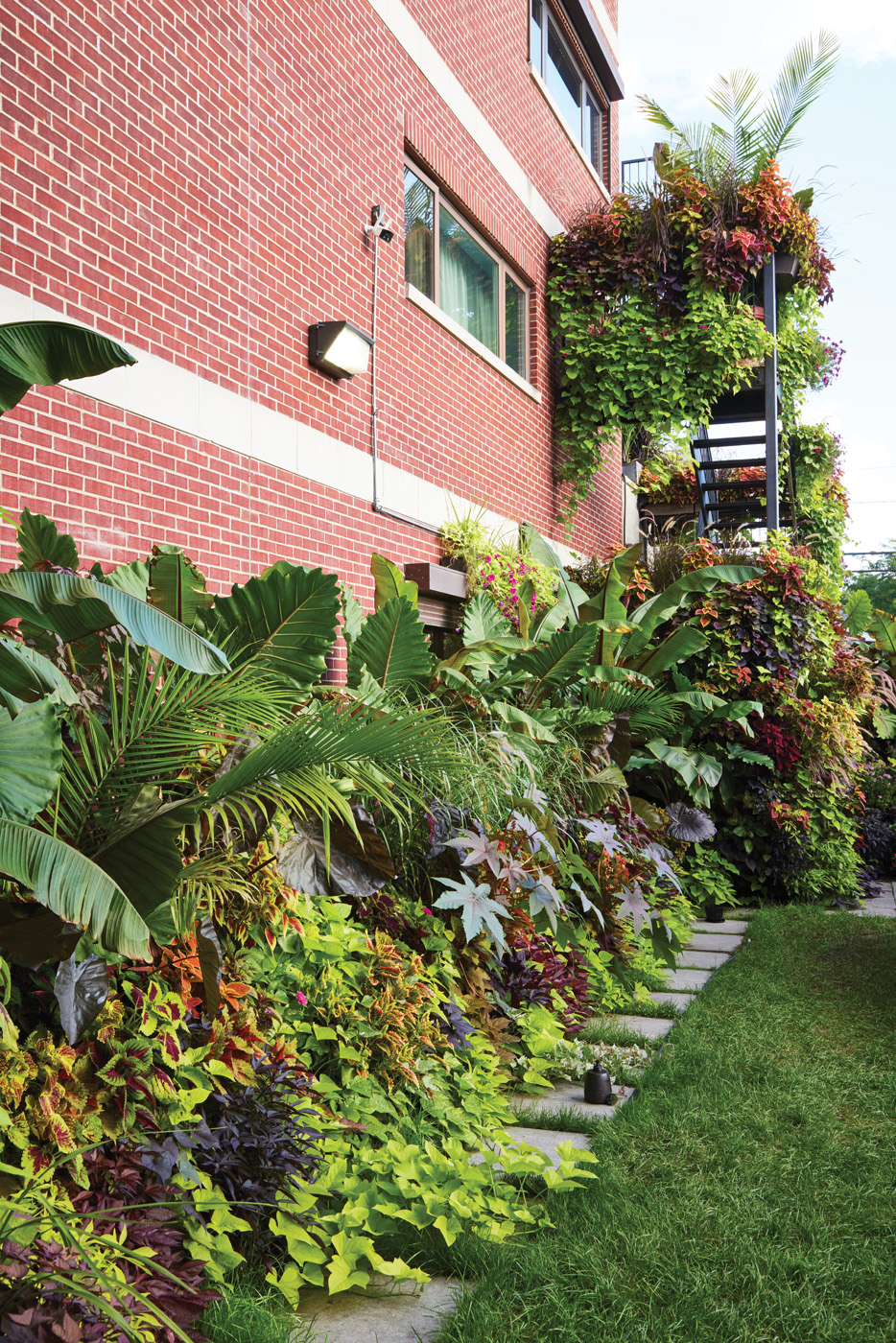 GG187 FG Deronis Cooper tropical border: Get help from microclimates. Reflected heat from the building encourages these warm-season plants to take off a little quicker and stay going longer into fall. 