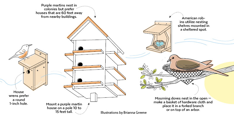 bird nesting boxes illustrations by Brianna Greene