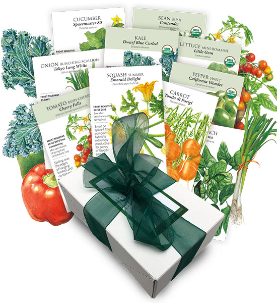 Urban Vegetable Container Seed Collection Gift Set