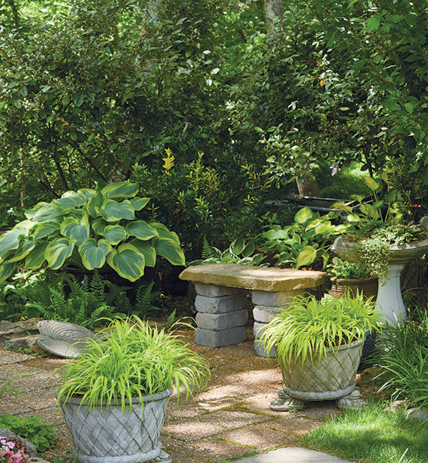 带有哈克尼罗亚植物的遮荫花园长凳:这些装有哈克尼罗亚植物的容器以金色树叶为框架，照亮了阴影，将人们的注意力吸引到庭院的入口，并邀请你坐下。