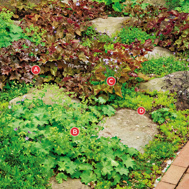 Shade perennials: Colorful mounded foliage softens the texture of the stones in this shady border.