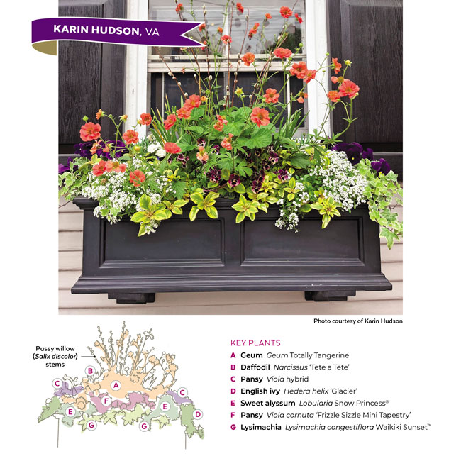 Container Challenge windowbox Karin Hudson: Karin's colorful windowbox adds curb appeal throughout the season.