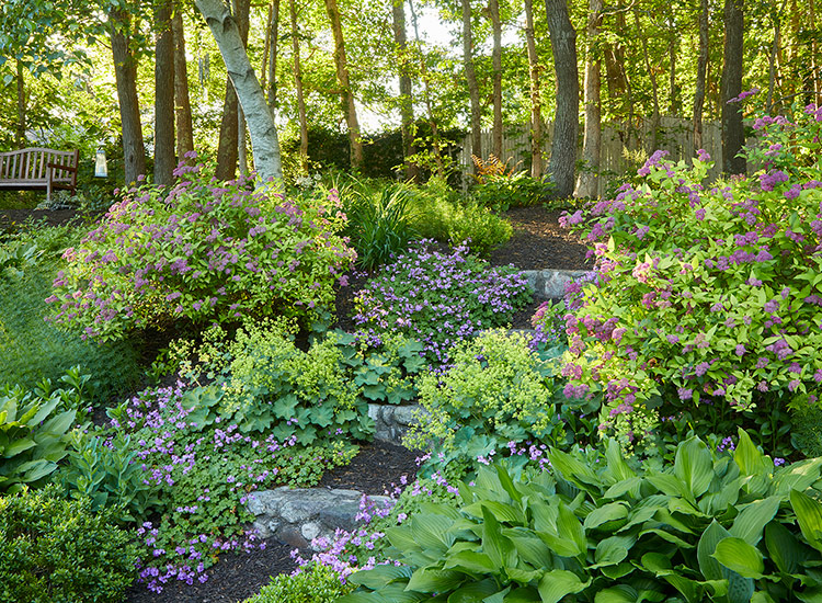 Beautiful Hillside Garden