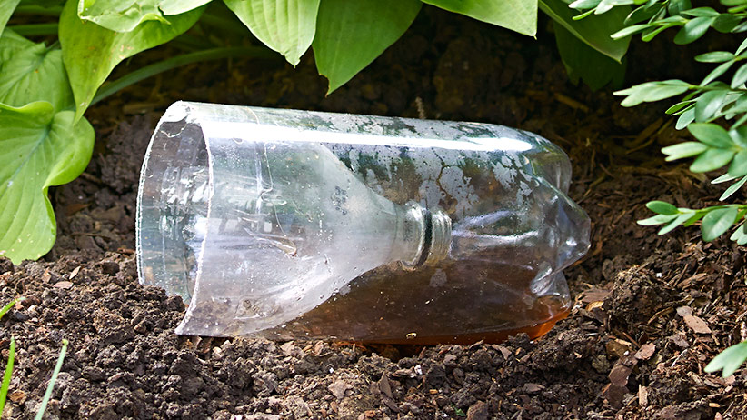 Vrijwel Pidgin Het pad 7 Ways to Upcycle Plastic Bottles in the Garden | Garden Gate