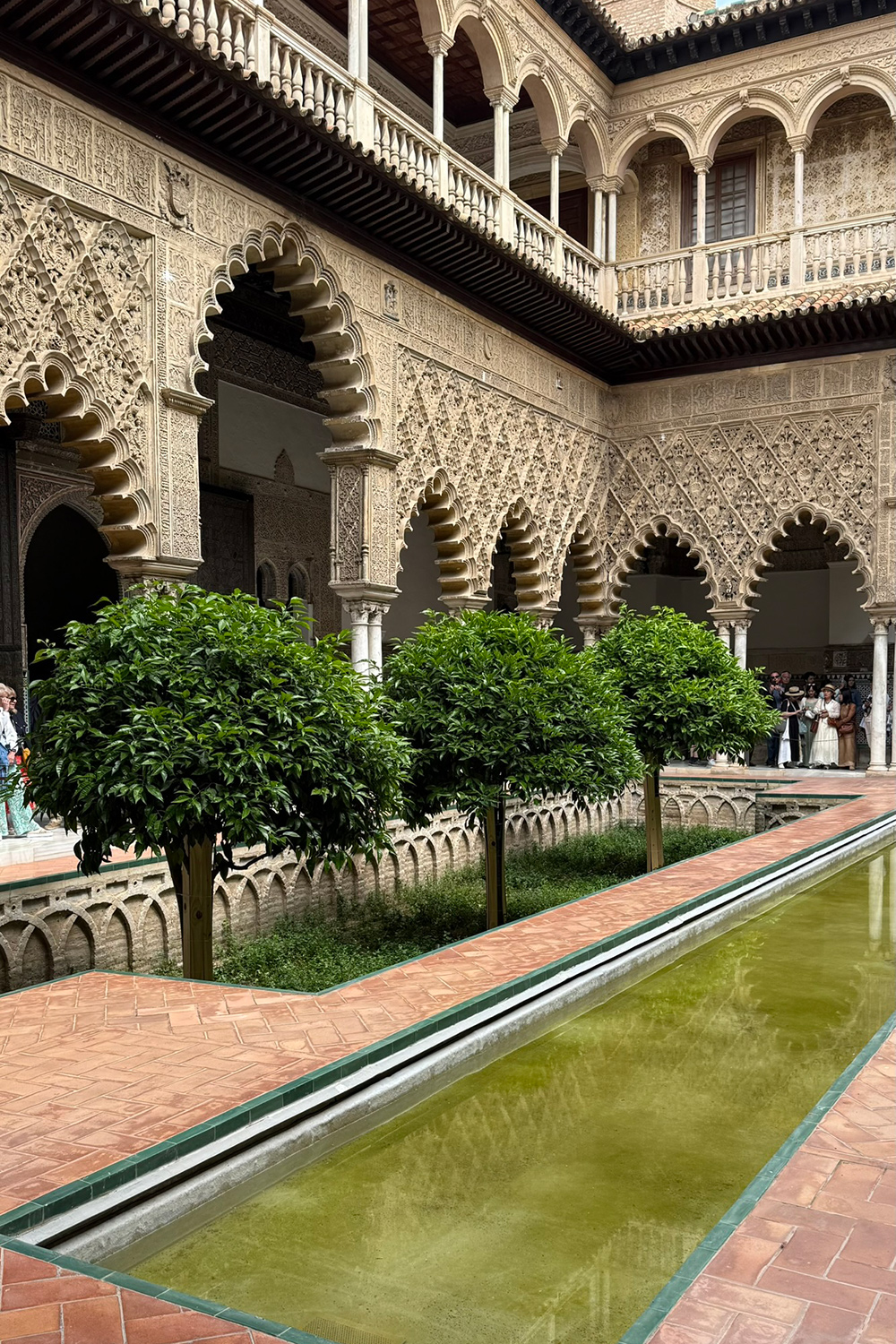 Patio de las doncellas at the Royal Alcazar of Seville: Patio de las Doncellas.