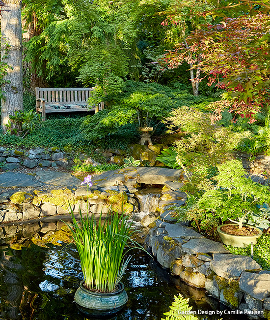 保尔森池塘座椅:卡米尔和德克在秋天的时候不会在水中使用化学物质，也不会清理树叶，这使得这个池塘成为青蛙的天堂。