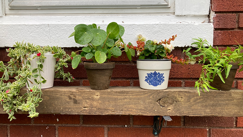 Get Creative with Container Gardening - Alexandria Living Magazine