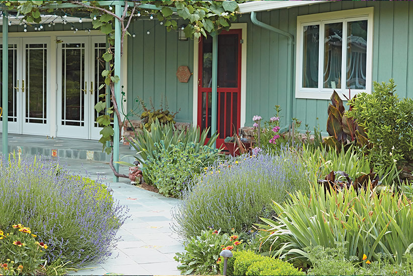 *Foliage can be fragrant too. Brush the leaves of this lavender as you walk by to enjoy its fresh, relaxing scent.*