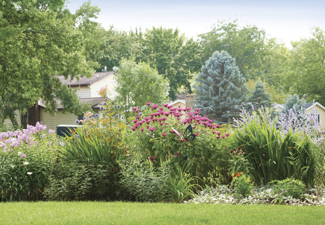 Bee balm in garden border: Bright pink blooms of bee balm add a pop of color to this garden border.