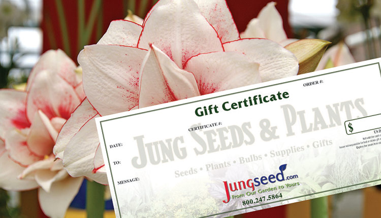 Jung Seed Gift Certificate