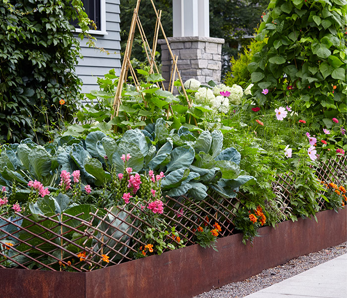 Raised garden bed next to house