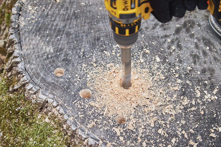 Drilling holes in a stump to make it rot faster: Drill several holes into the stump at least ½-inch in diameter and several inches deep. Then, pack the holes full of rotting product. The more material you can pack into the stump, the faster it will rot.