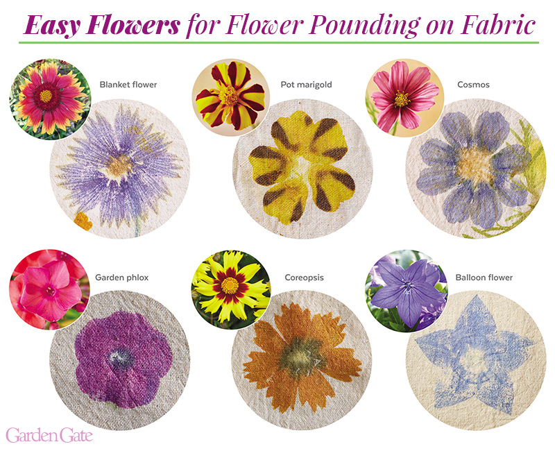 Easy flowers for flower pounding by Garden Gate: Check out these experiments from flower pounding different types of blooms from around the garden.