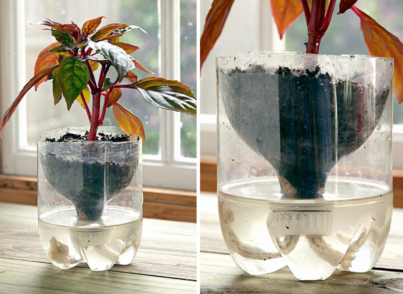 upcycle plastic bottles into a self-watering container: The cotton rope wicks moisture into the potting mix into the upper portion of the soda bottle container.