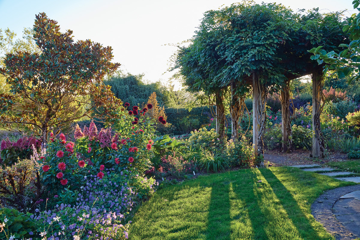 Wisteria covered pergola and colorful fall flower bed in Lisa Graff's garden: Rejuvenate plants for long-lasting appeal Most of the Rozanne geraniums stay flowery and compact without any help. But if yours get leggy with fewer blooms, cut them back by a third for another colorful show by fall. 