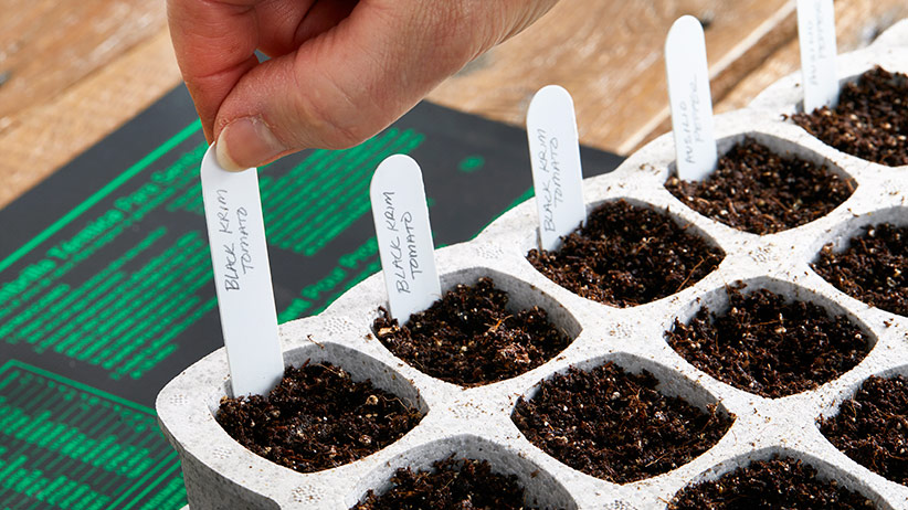 Seedling Heat Mats to Start Seeds Indoors