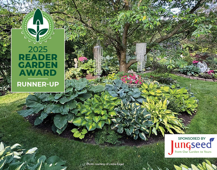 2025 Reader Garden Award Runner Up Lonna Engel Hosta Garden Sponsored by Jung Seed: This stunning shade garden is packed with over 900 hosta cultivars!