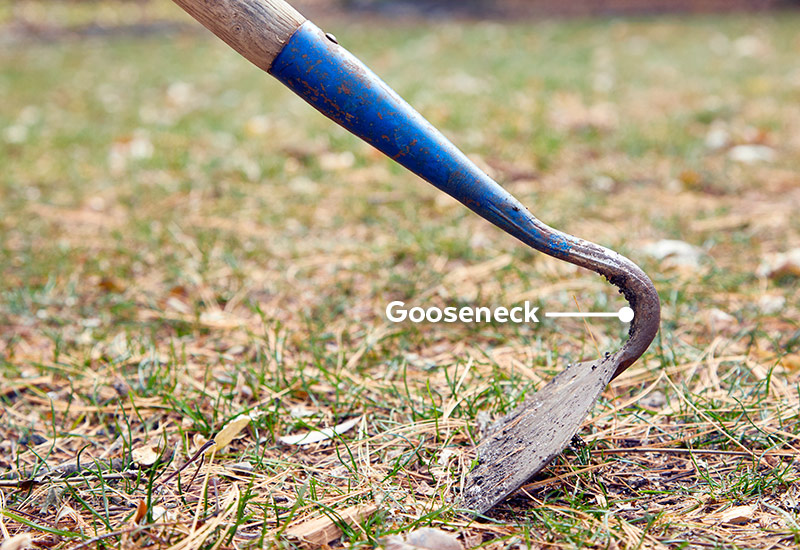 Image of a draw hoe with a gooseneck: This draw hoe has a curved connection to the handle called a gooseneck.