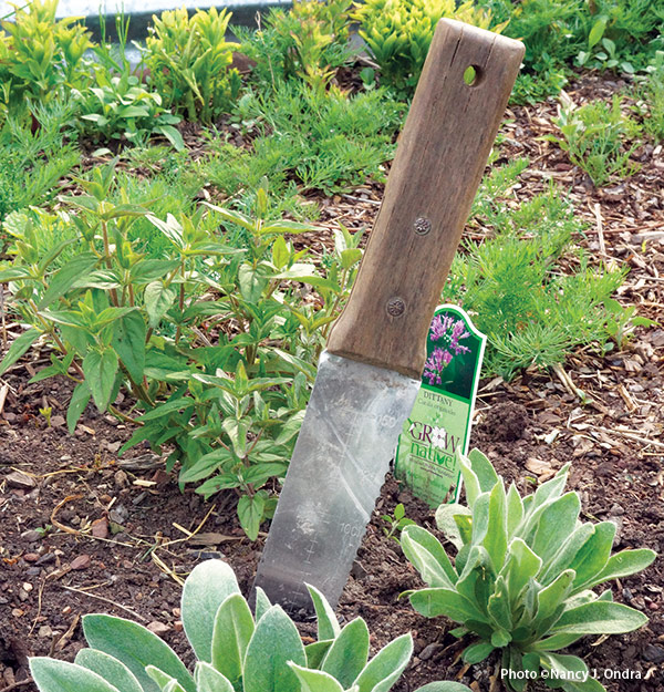 Hori-hori-knife-is-great-for-working-in-garden-holding-beds: The narrow blade of a digging knife (also known as a hori hori knife) is ideal for adding or removing closely spaced plants.
