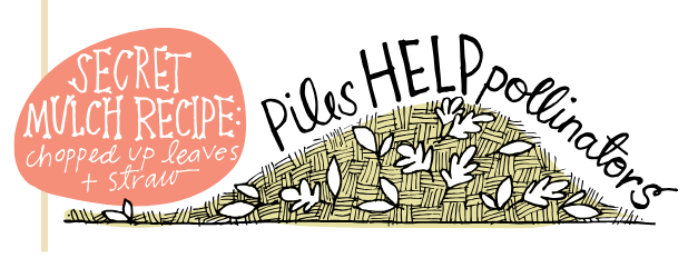 Piles help pollinators illustration by Lisa Nunamaker: Piles help pollinators! Secret mulch recipe of chopped-up leaves and straw provides overwintering material. Illustration by Lisa Nunamaker