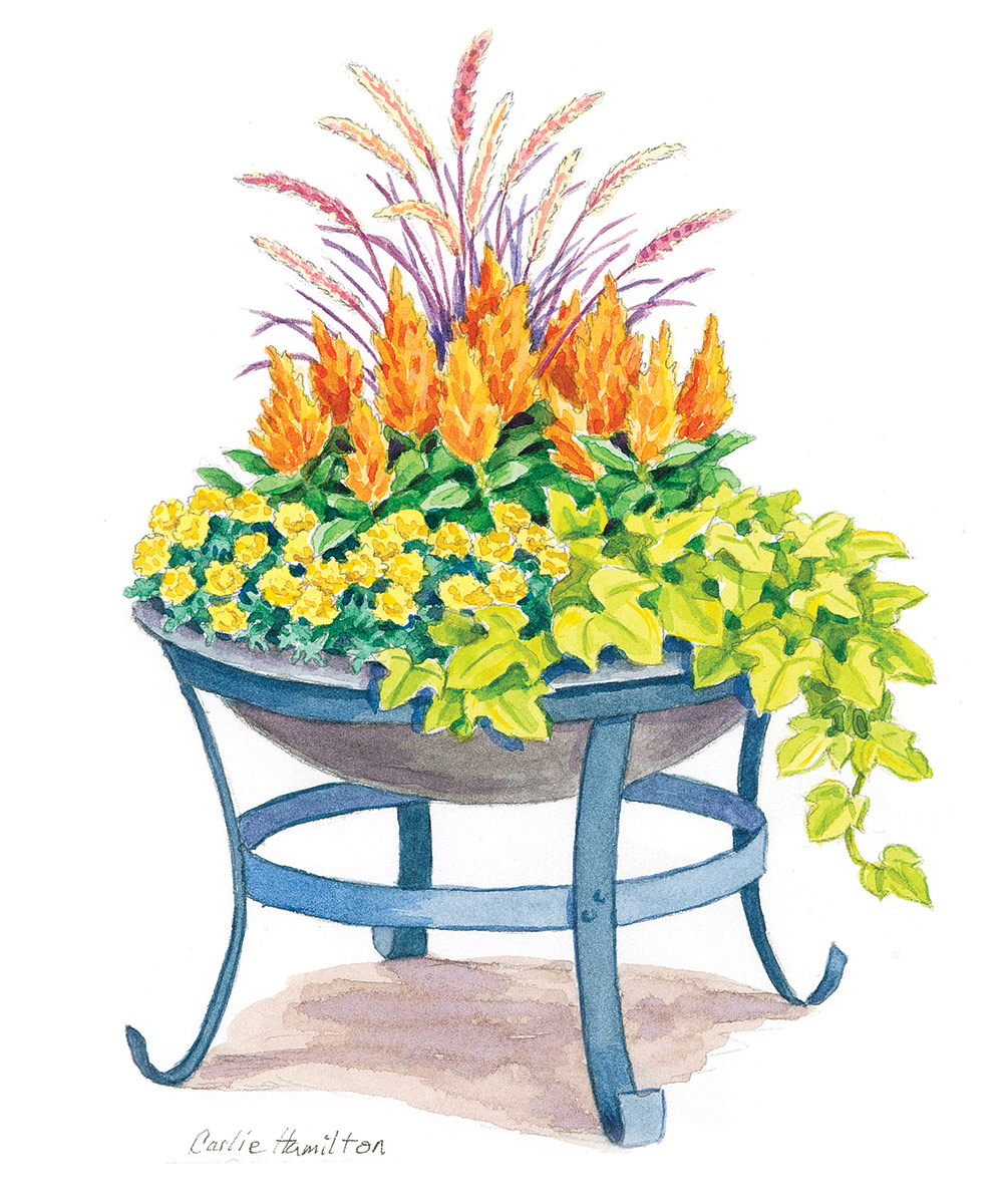 171-tips-firepit-illustration-carlie-hamilton: Give a rusty firepit new life with a few simple steps to create  a unique upcycled container.