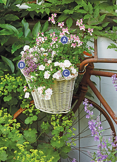Bicycle basket planter