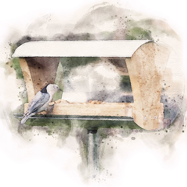Bird at a feeding tray style bird feeder with watercolor effect: A roof over your tray feeder will keep the seed dry longer.