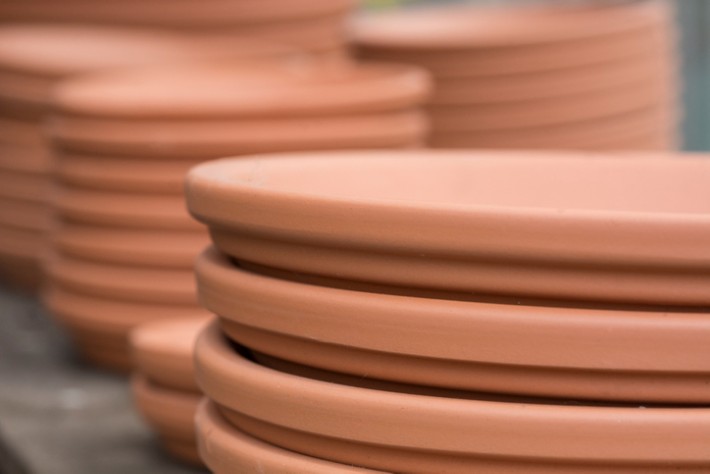 The Best Planter Saucers To Hold Your Favorite Potted Plants | Garden Gate
