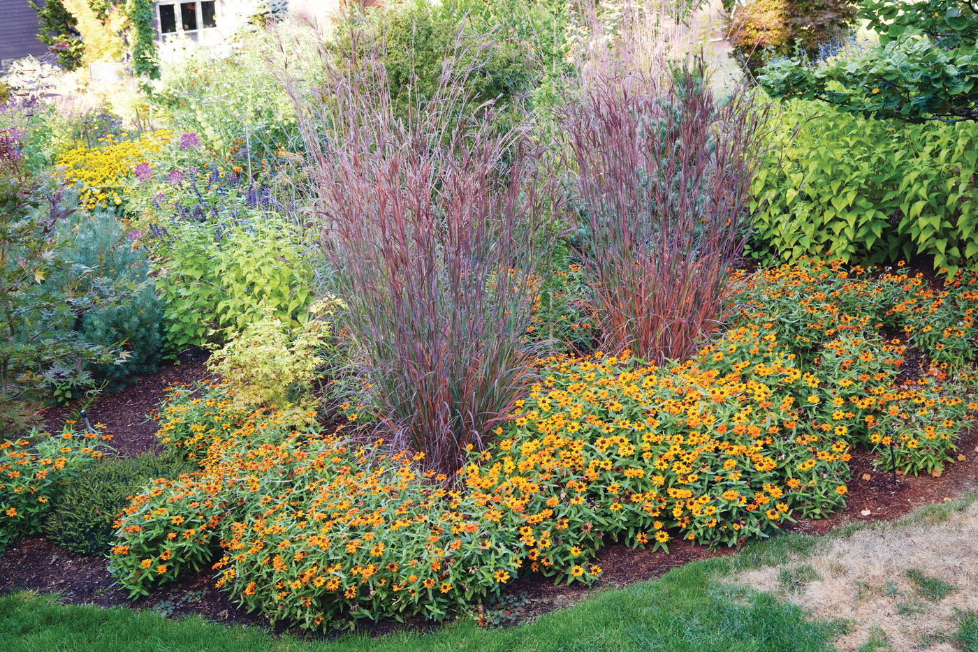 GG188 FG 12 gamp0558 256930: While the bright zinnias will die to the ground after a hard frost, the big bluestems and nearby conifers will provide plenty of winter interest.
