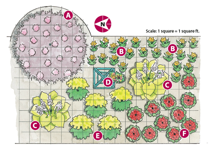 budget-friendly-garden-border-plan: Lettered overhead planting plan digaram.