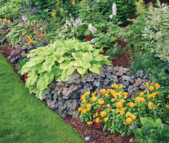 Cut garden Edge perennial border: With a cut edge, you're not locked into the original edge of your garden bed.