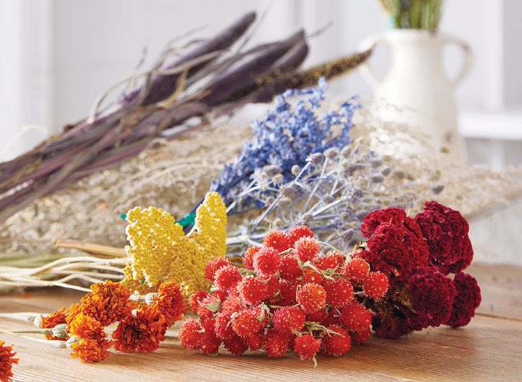 Bunches of colorful dried flowers: Dried flowers are available in a rainbow of color options!