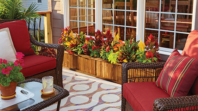 colorful-foliage-windowboxes-croton-celosia-lead: Here you see two windowboxes next to each other to acheive a full & colorful look for the patio.