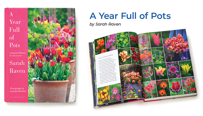 A Year Full of Pots by Sarah Raven