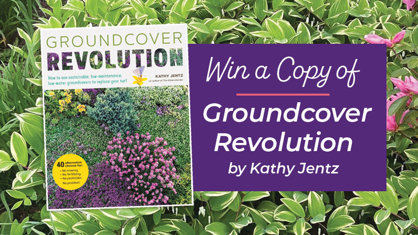 Ground Cover Revolution Book Sweepstakes | Garden Gate