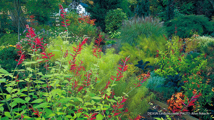 Long Blooming Salvias Garden Gate